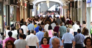 Jak vám stádní efekt výrazně navýší tržby