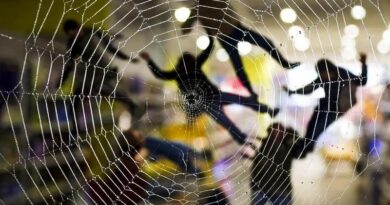 Počet zákazníků není nekonečný